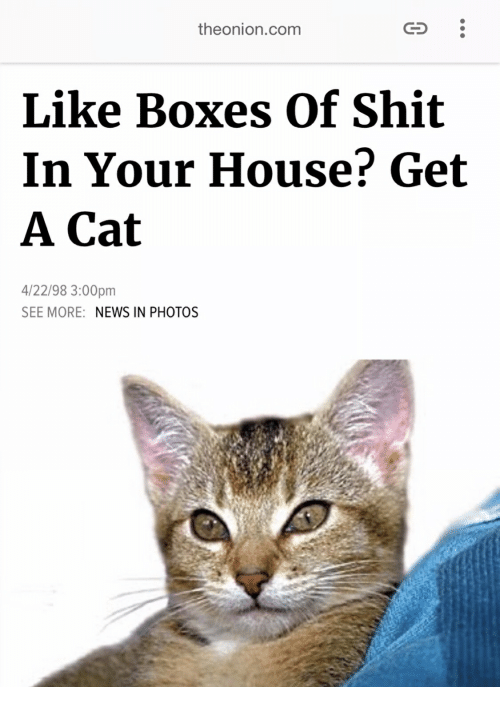 theonion-com-like-boxes-of-shit-in-your-house-get-a-41203135.png