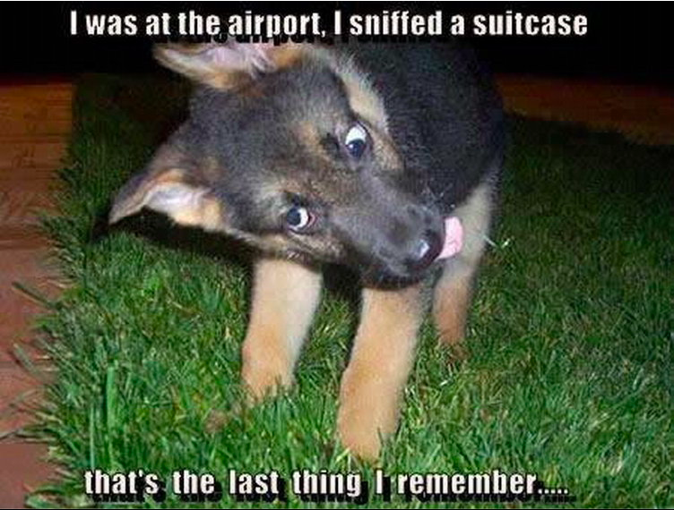 Screen Shot 2021-02-26 at 2.33.40 am.png