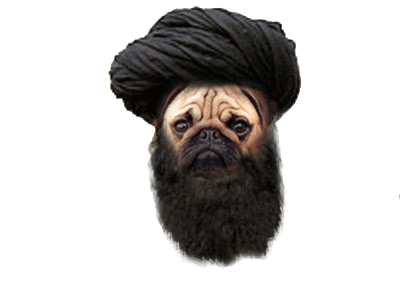 pug-lg.png