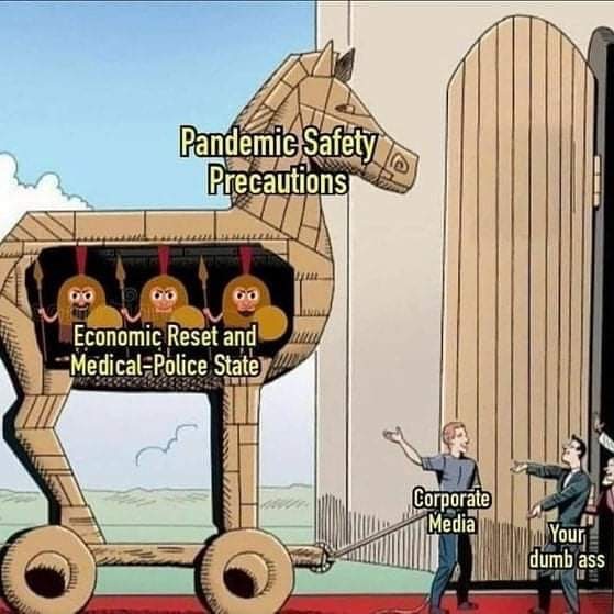 w2npbPN.jpg