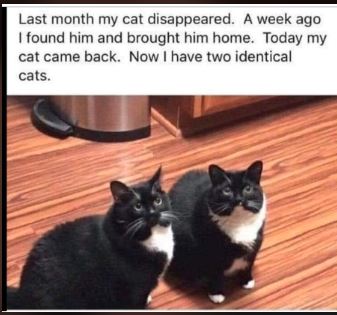 Capture.JPG