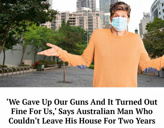 bee.jpg