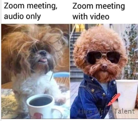 zoom.JPG