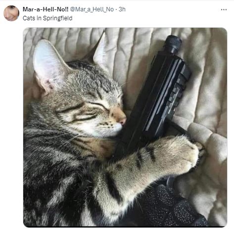 Capture.JPG