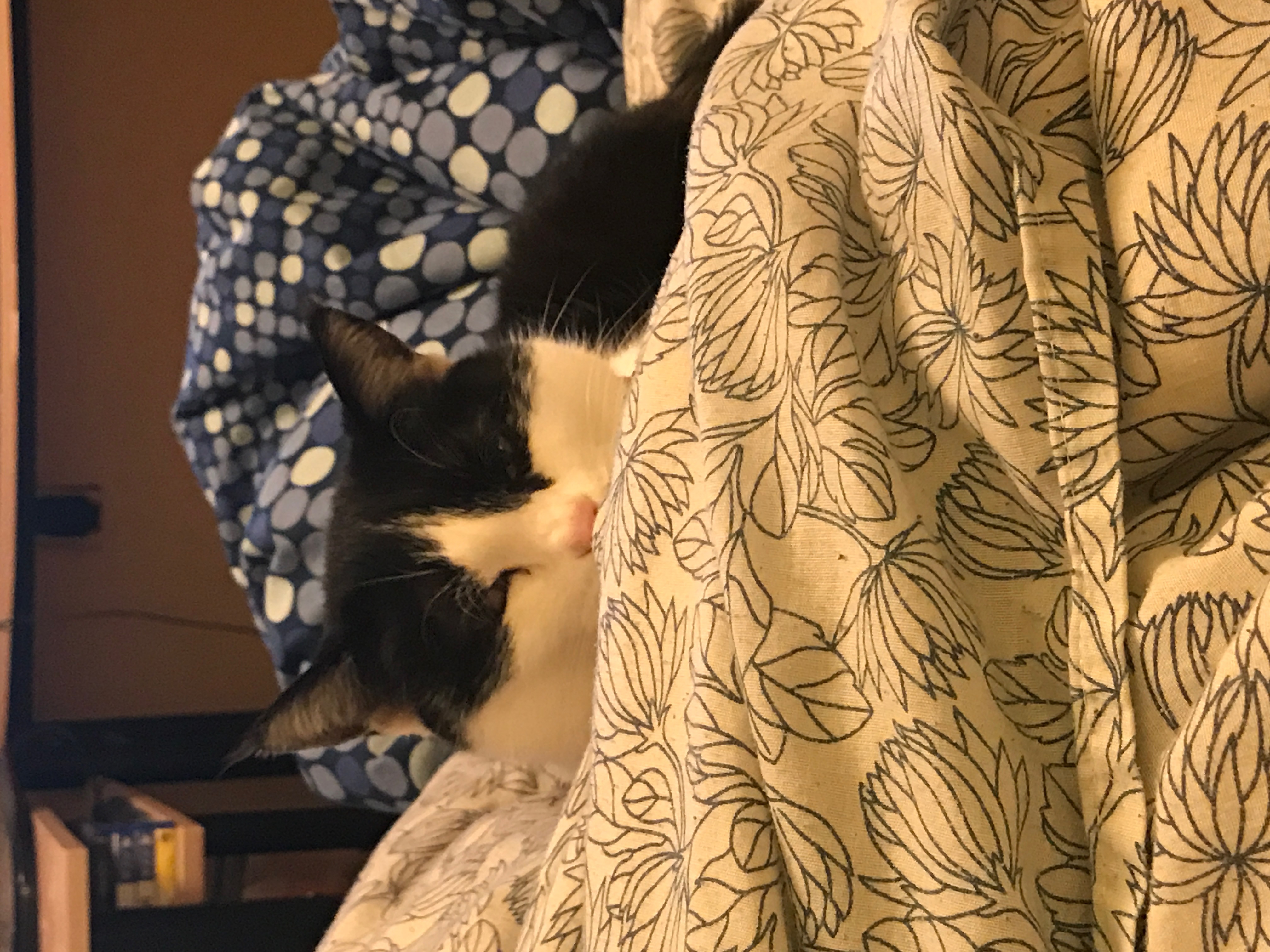 IMG_6014.jpeg