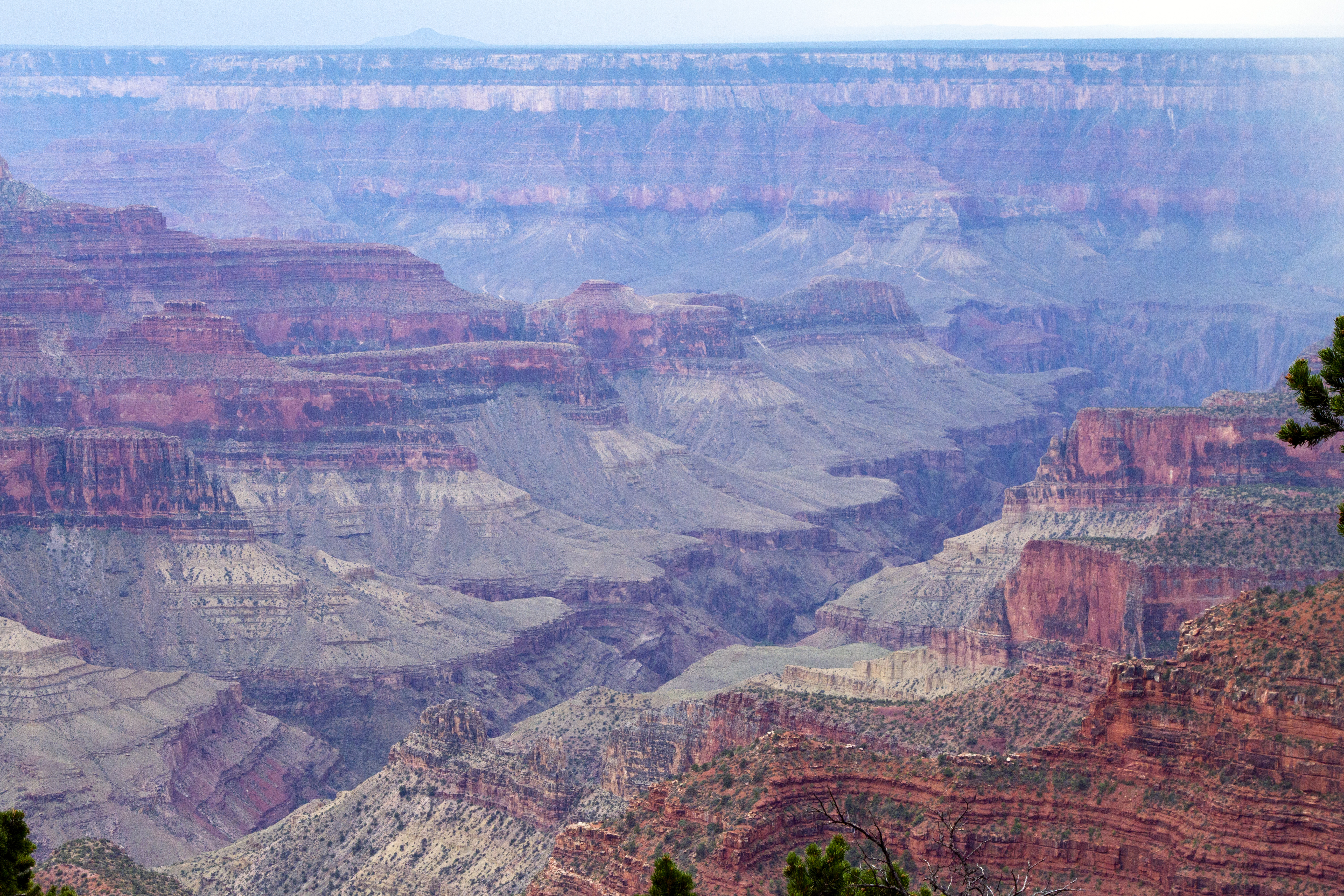 grandcanyonnorthrim_2206.jpg