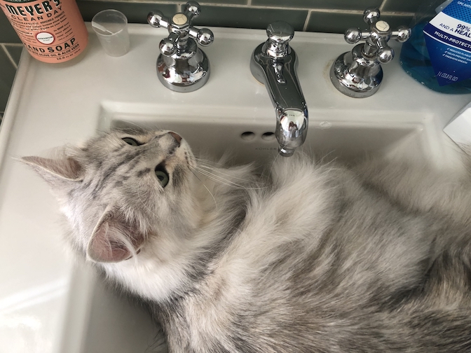 2020-05-07 07.19.14.jpg