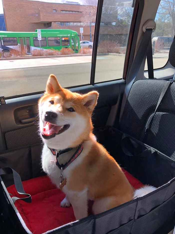miso.png