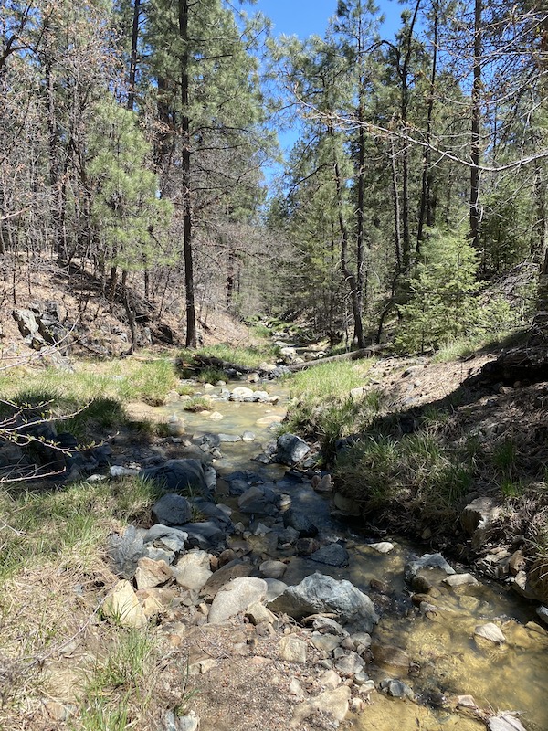 LynxCreek.jpeg