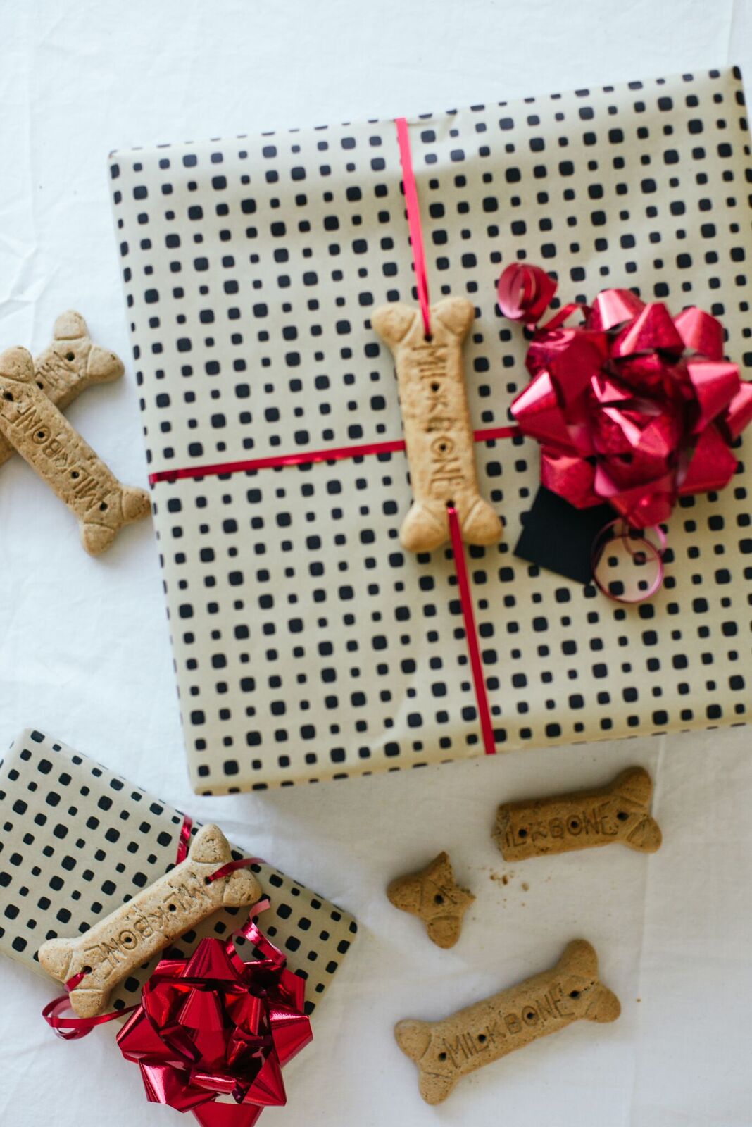 Miso's present.jpg