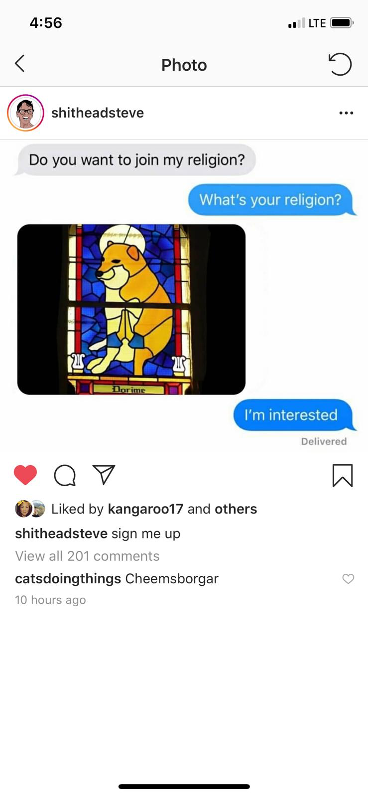 IMG_9977.png