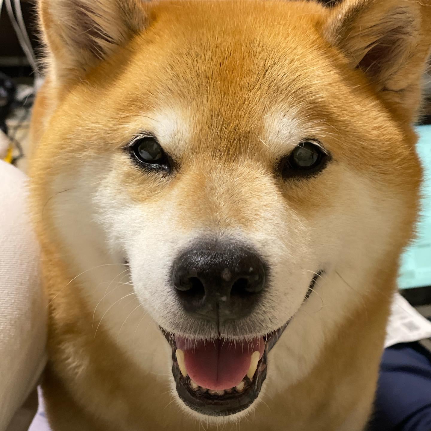 FF1A84F9-CA33-4526-82C7-B7260140225F.jpeg