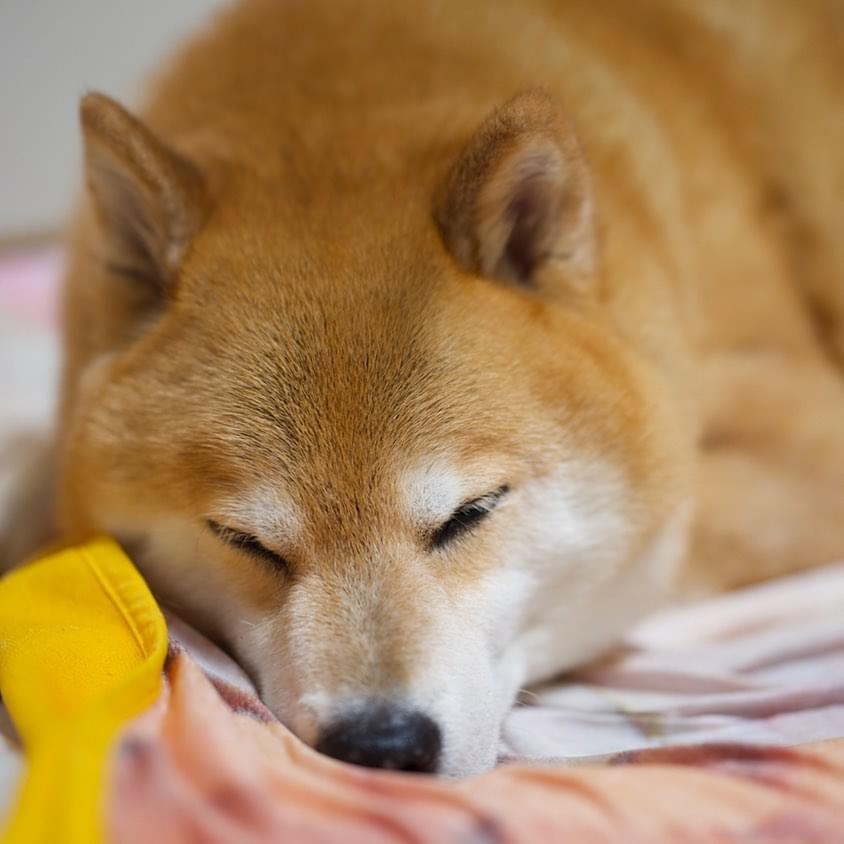 81F385C1-DF31-456C-B07B-3724A89458C0.jpeg